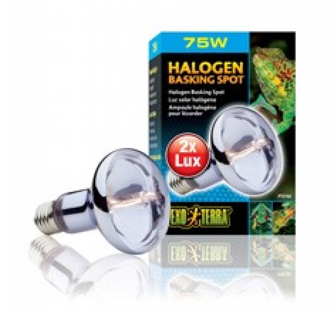 Exo Terra Halogen Basking Spot